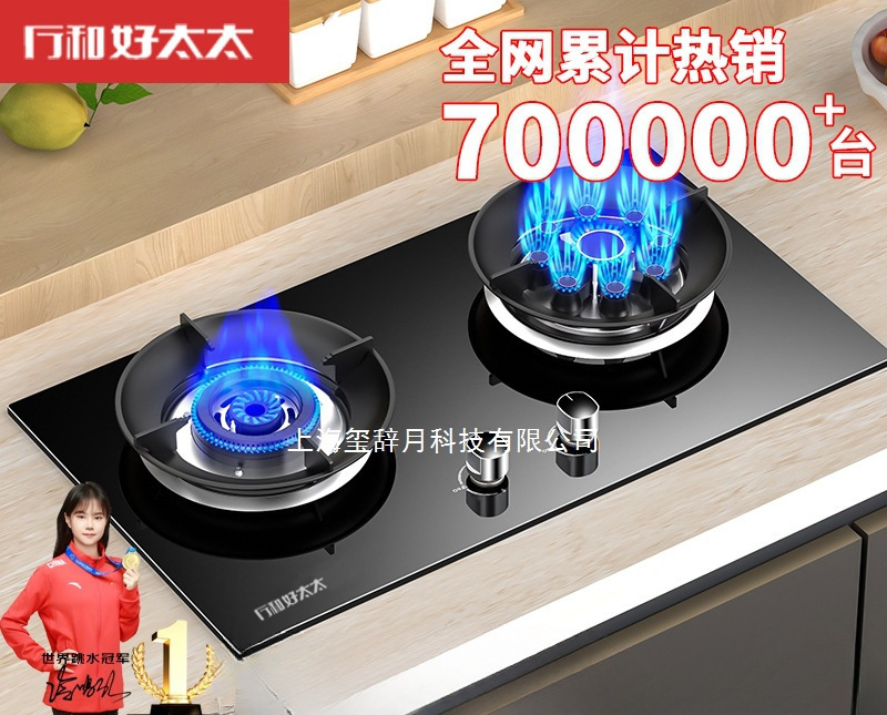 厅和好太太燃气灶煤气灶双灶家用天然气炉灶液化气炉具换新补贴|undefined