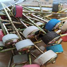 ʯ���ߌ��������ᔹ̶����^�ᔼ��Lˮ���ʯ�����3��4��5��6��