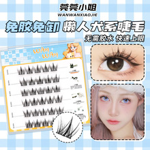 ���z����Ȯϵ��ճ�ٽ�ë�o�������۷ֶ�ʽȮϵ�A��ܛ�ȟo����ճ