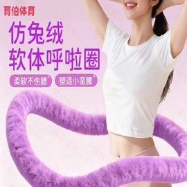 健腹器;呼拉圈;其他健身器材