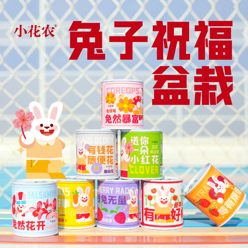 Little Flower Farmers Year of the Rabbit Blessing Potted Plant Wholesale Creative Gifts Fun Desk Small Green Plant Ornaments Desktop Potted Plant