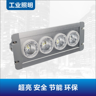 Nfe9121 Solid-State Emergency Ceiling Light Nfc9121 12W Distribution Room Power Plant Cable Trench Mezzanine Led Low Ceiling Light