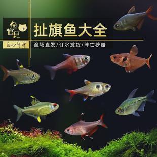 �~�ك��t���ó�����t�󹴺ڻ����~�����ʯ��Ⱥ���~С�͟Ꭷ�~