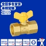 全铜螺纹二通源头气阀