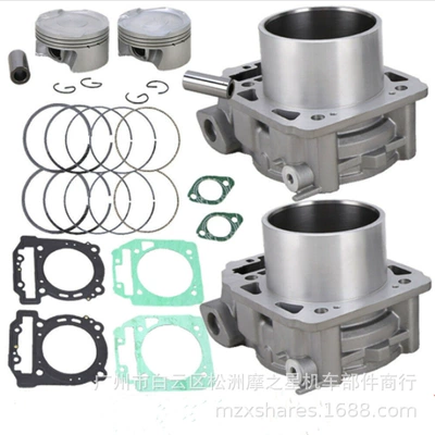sleeve cylinder BRP1000 – Cylinder and parts