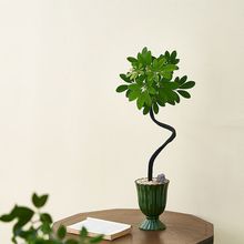 �W�t���������_�����҃��k���ҿ͏dֲ������՚�����ȩ���B��