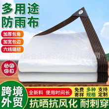 PEĤĤ߅͸겼rĤܱطĤϱĤ