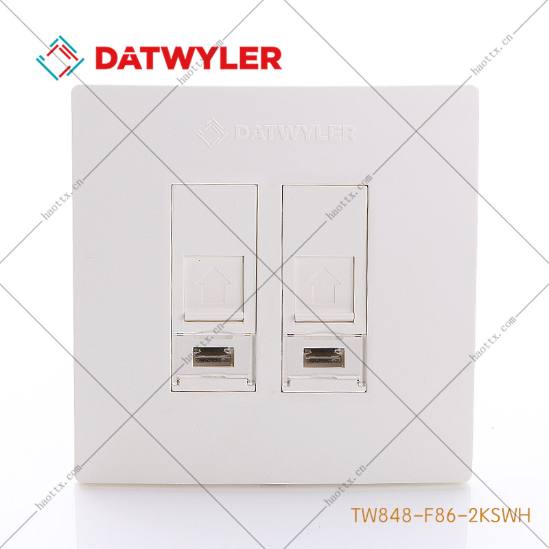 德特威勒双口面板TW848-F86-2KSWH 平单口雾面keystone插座面板