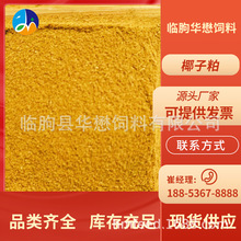 �S�ҹ����ؙ���Ҭ���� �ͺ�ø �Bֳ ��B ������ӄ��ͺ�ø�Ƅ�