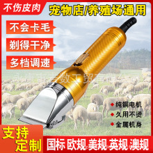 �����늄���ë���qɽ���Lë�ù���ͨ����ë������Ӽ����S�����l