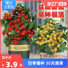 һlٲСѷNӷN}Ůtļ߲˷Nˮ