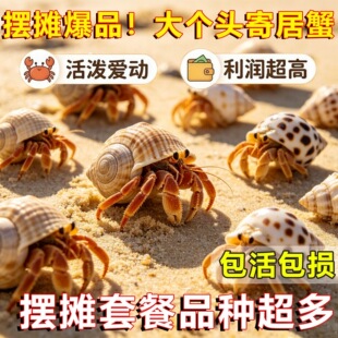 ����ľ�з���w����ľ�з�[��؛Դ���ֺ��B�Ұ׼ľ�з������؛
