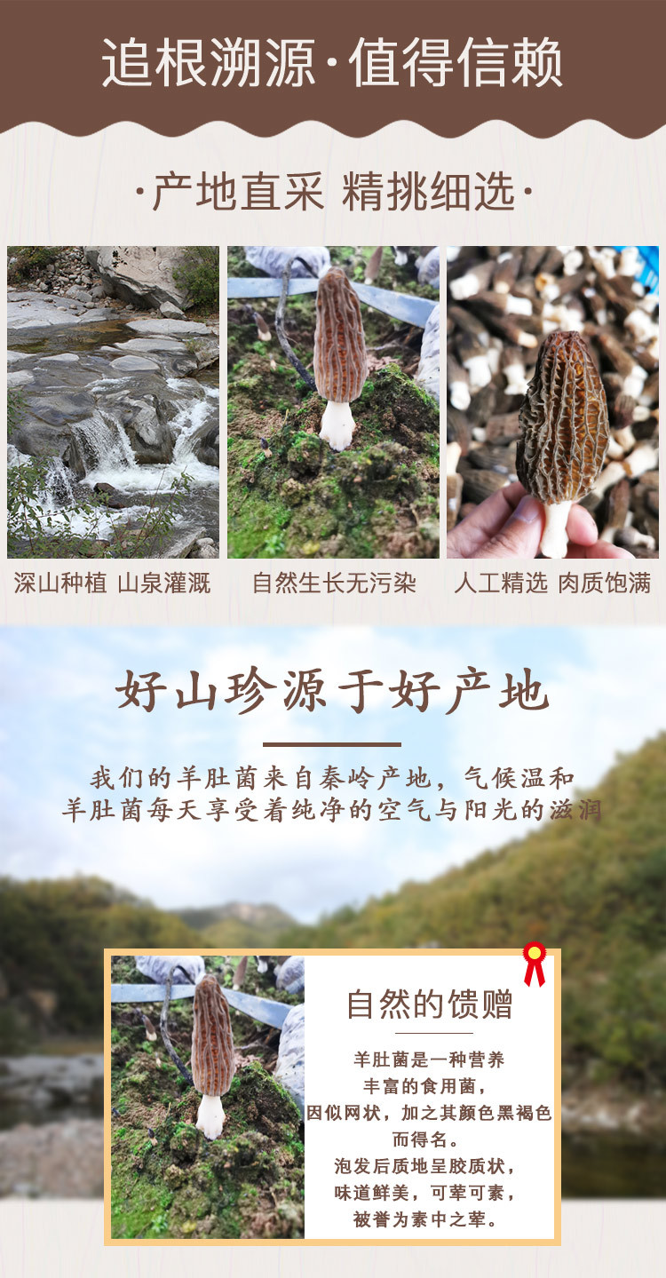羊肚菌详情页_04.jpg