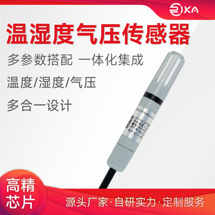 Ruiyika Air Temperature and Humidity Sensor Industrial High Precision Atmospheric Temperature and Humidity Pressure Transmitter Rod with Blind Box