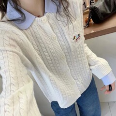 韓国風取り外し可能な人形襟カラフルな子犬文字刺繍シングルブレストケーブルニットセーター女性用年齢軽減セーター