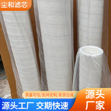 天然气PCHG336-C/HC2-01-02天然气滤芯耐高压10MPa耐高温200°C