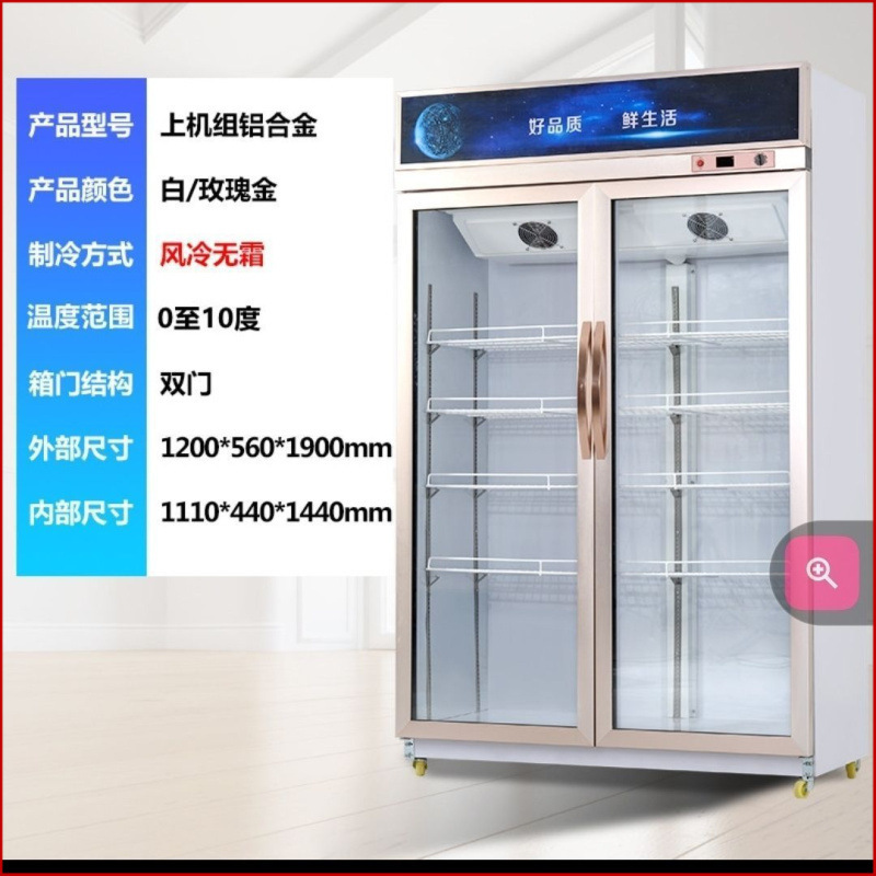冷藏柜 展示柜  保鲜柜 立式双门铜管商用饮料冷饮蔬菜水果柜冰柜