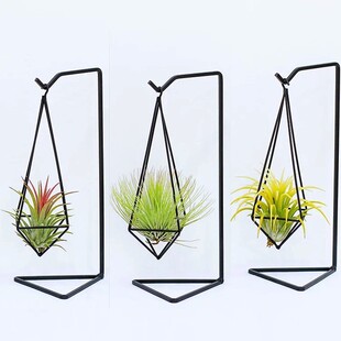 �՚��P��׺λ��ܽM�Ͽ՚�Gֲ����YƷ�Ҿ��bo������ֲ��