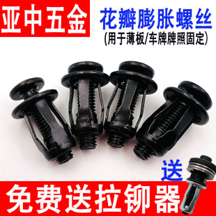 ������Û�ݽz��ɫ������ĸ�пձڻ������FƤ�̶����T�ݽz