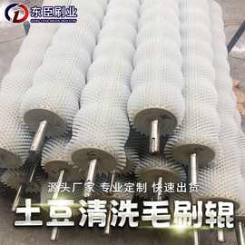 批发土豆清洗去皮机毛刷辊 除尘抛光异型毛刷波浪形尼龙丝毛刷辊