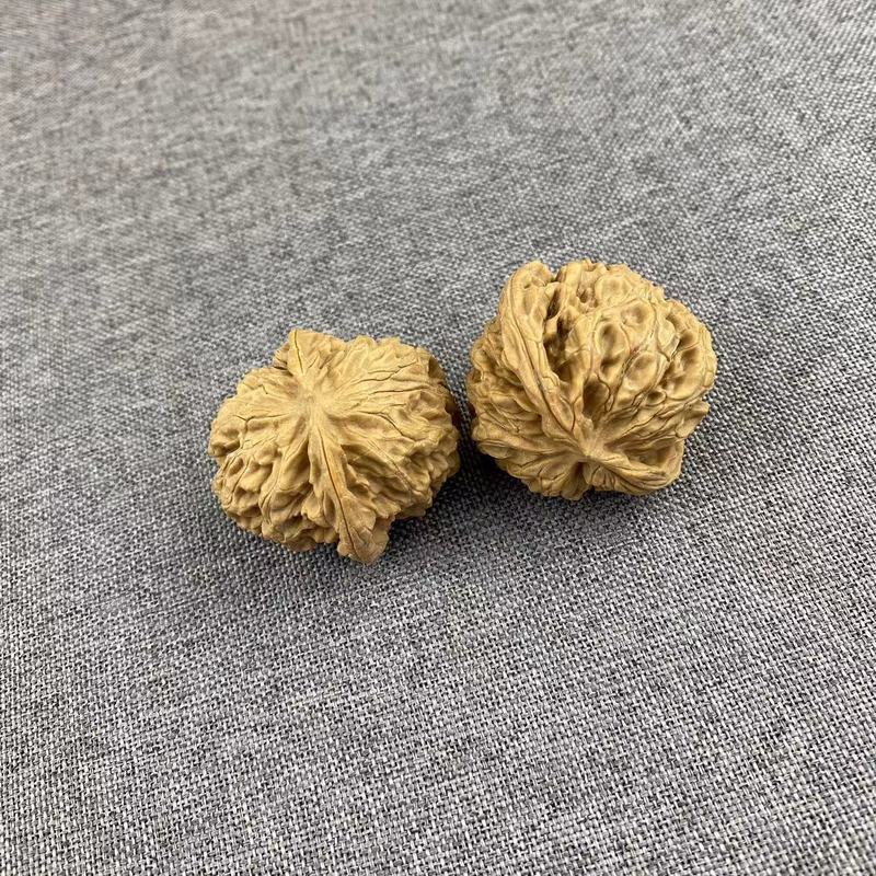 開背ヒキガエルの頭の文はクルミの低い杭を遊んで、先の古い木の延慶の金のヒキガエルの手は収集級の男女を遊んでクルミを遊びます。|undefined