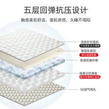 泰国乳胶海绵床垫家用1.8米加厚单双人榻榻米睡垫租房软垫被