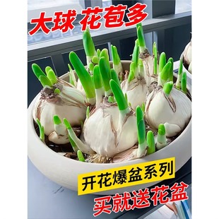 ˮ�ɻ��N������ˮ���҃��ļ�ˮ�B������ˮ��ֲ���������ﶬ���_��