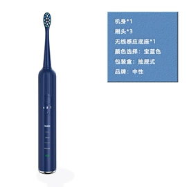 电动牙刷;冲牙器;其他健身器材