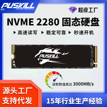 PUSKILL/浦技m2固态硬盘nvme接口固态硬盘512GB256GB国产硬盘批发