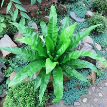 �B�������ԃ����՚�ާ�ֲ���ֳ�ާɽ�K������ާ����k���҃ȾGֲ