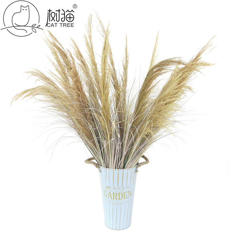 特价仿真芦苇狗尾巴草 橱窗装饰蒲苇假花 婚礼布置天然干花小芦苇