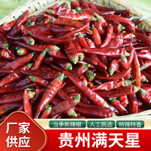 �F�ݝM��������С�����������㳯�콷52��偲������