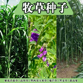 营养液;种子;其他园林资材