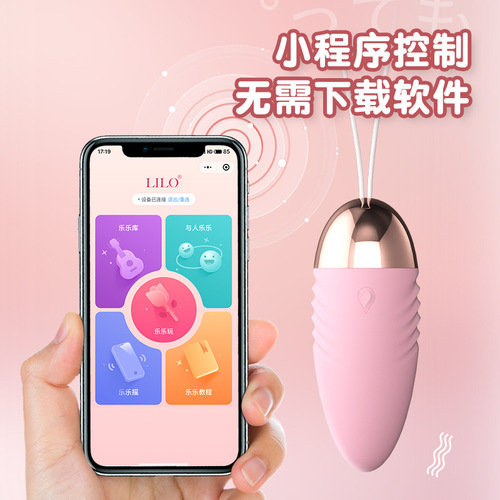 Remote Control Vibrator Female Adult Toy Erotic Novelty Wholesale Private