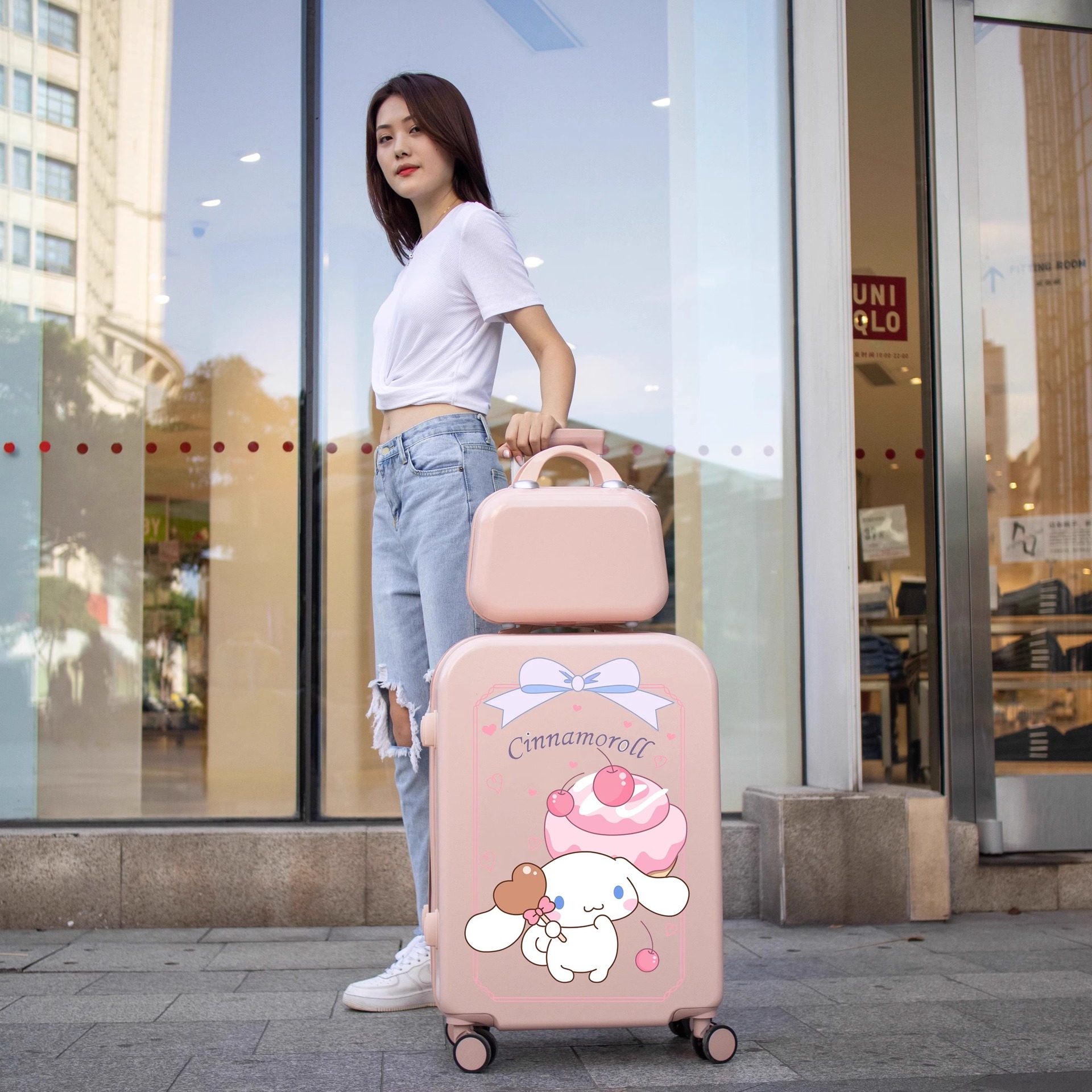 916 Cornus officinalis 분말-롤리팝 계피 개 어머니 상자