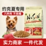 纽尚nusun约克夏代发成犬