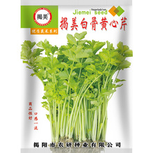 揭美白骨黄心芹种子 小香芹芹菜籽 阳台盆栽农田蔬菜种子 250克装