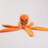 Fishes, octopus