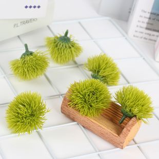 ����Gë��廨�b[������ˮ�������nƴ�b�Y���c�Y�G�~���p��