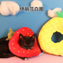 Elizabethan collar manufacturer postoperative protective anti Scratch anti Bite cat hood adjustable Elizabethan soft collar