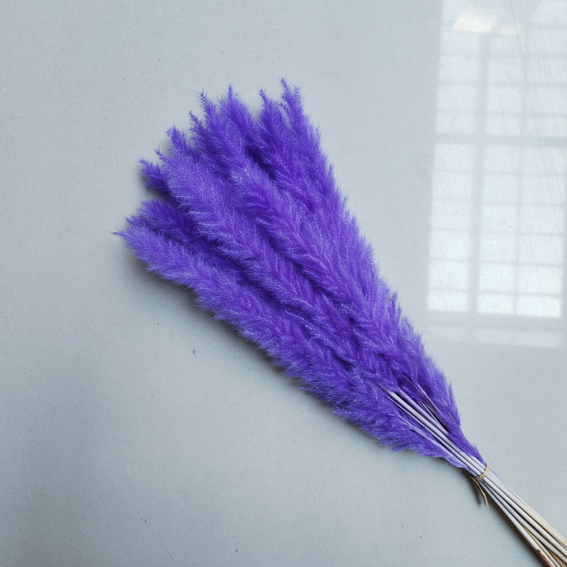 보라색 가지 15개