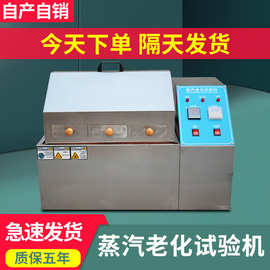 蒸汽老化试验机电子蒸气加速老化测试高温水煮仪 高温高压蒸煮仪