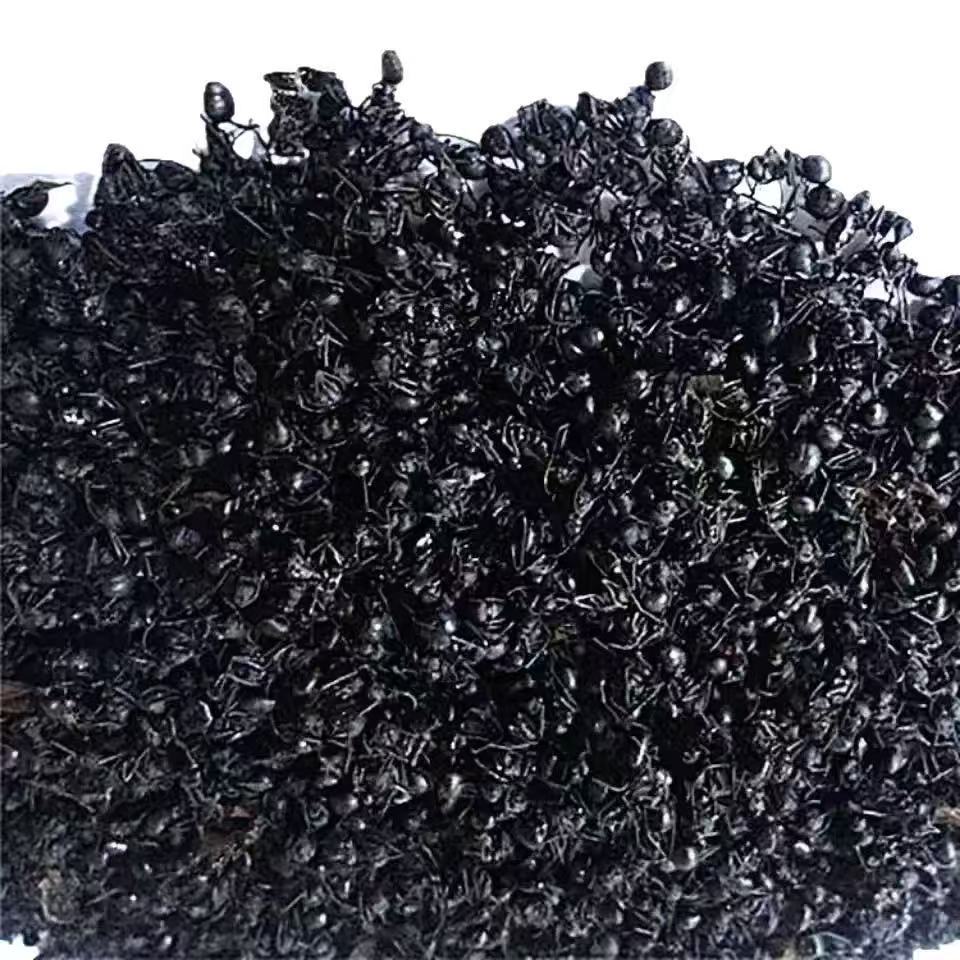 Black Ant Dried Whole (Polyrhachis vicina) — Food-Herb TCM Ingredient 500g specifications