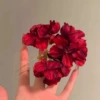 Горящая роза