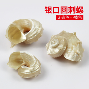 ��Ȼ����ؐ���y�ڈA���ݾ�ؐ�~�ľ�з��Q���~���쾰�[���ղؘ˱�