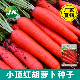 蔬菜种子