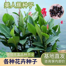 ˮ�����˽��N�ӻ��ع����G���������؈@�־G��ˮ��ֲ�����˽�