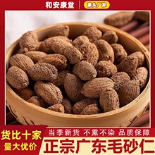 中药材新货毛砂仁饱满大粒无硫砂仁春砂仁香沙仁香料火锅料毛砂仁