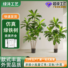 ��������F�����Է����Ꭷ�Gֲ�쾰������ؙ���������Ѫ�F������