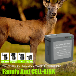 ɳ늳ؼCCLM2/Cell-LinkS2309